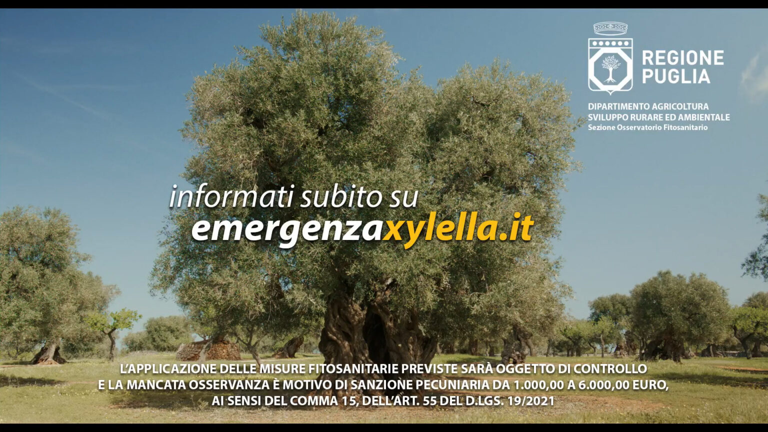 Emergenza Xylella (Save the Oliver) - copertina